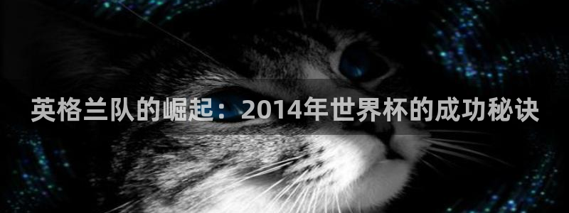 世界杯欧洲区世预赛赛程：英格兰队的崛起：2014年世界杯的成功秘诀