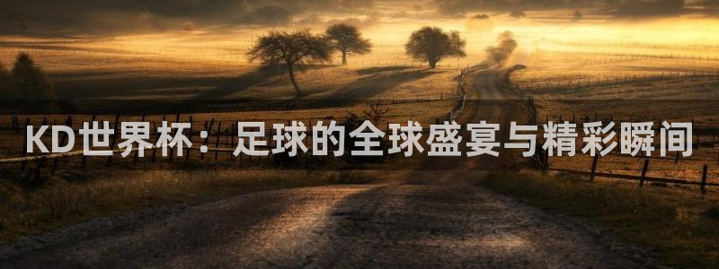 2006年世界杯冠军：KD世界杯：足球的全球盛宴与精彩瞬间