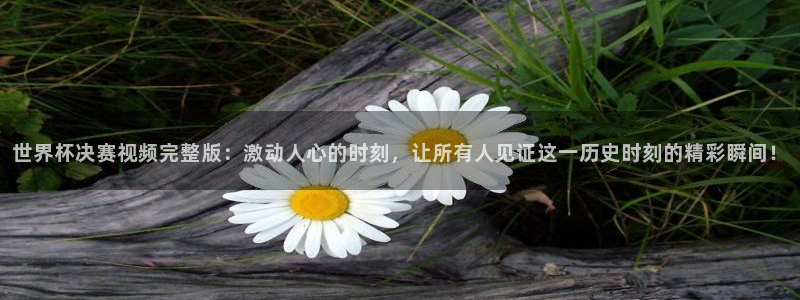 世界杯时间：世界杯决赛视频完整版：激动人心的时刻，让所有人见证这一历史时刻的精彩瞬间！