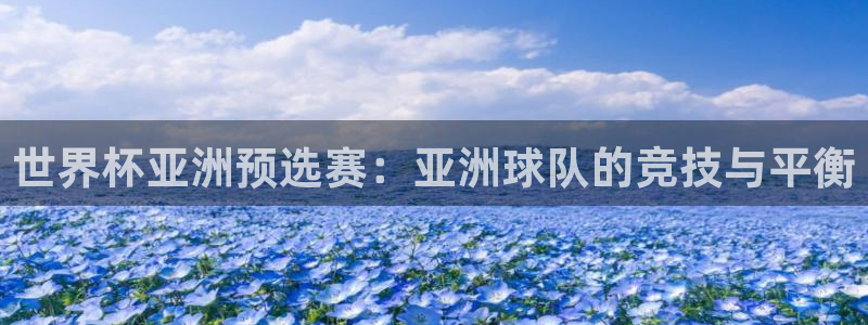 世界杯赛程2026：世界杯亚洲预选赛：亚洲球队的竞技与平衡