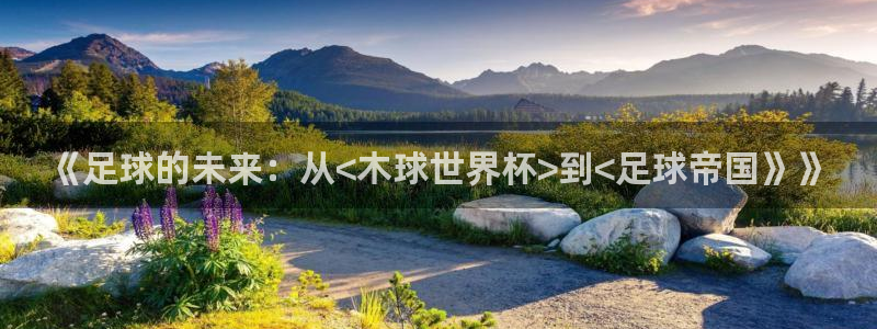 世界杯直播网站：《足球的未来：从<木球世界杯>到<足球帝国》》