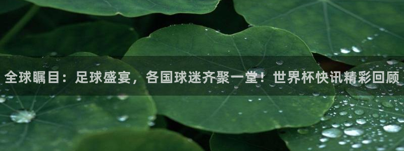 世界杯在线直播：全球瞩目：足球盛宴，各国球迷齐聚一堂！世界杯快讯精彩回顾
