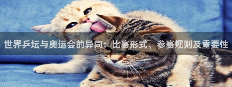 世界杯 中国：世界乒坛与奥运会的异同：比赛形式、参赛规则及重要性