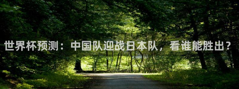世界杯预选赛：世界杯预测：中国队迎战日本队，看谁能胜出？