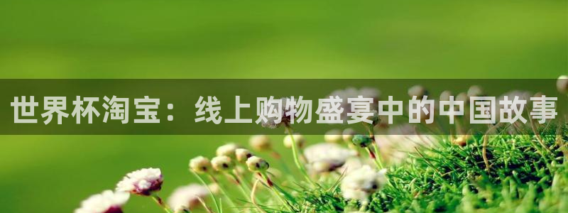 世预赛免费直播入口：世界杯淘宝：线上购物盛宴中的中国故事
