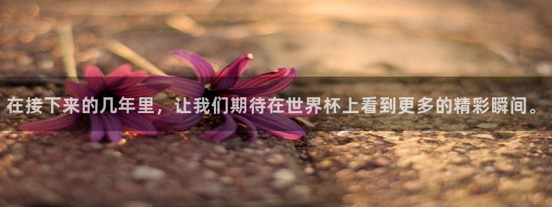 足球世界杯2026：在接下来的几年里，让我们期待在世界杯上看到更多的精彩瞬间。