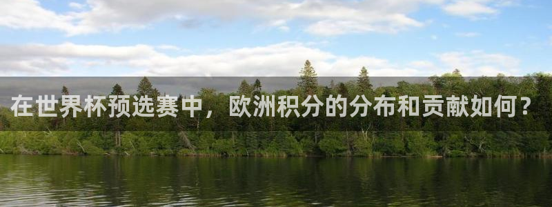 欧洲世界杯预选赛赛程:在世界杯预选赛中,欧洲积分的分布和贡献如何?
