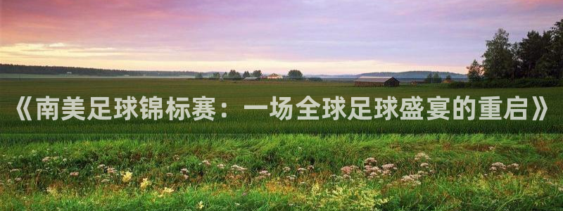 世界杯预选赛欧洲赛区赛程：《南美足球锦标赛：一场全球足球盛宴的重启》