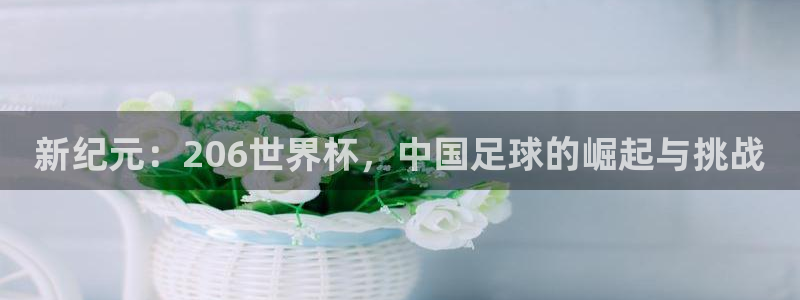 世界杯比赛直播：新纪元：206世界杯，中国足球的崛起与挑战