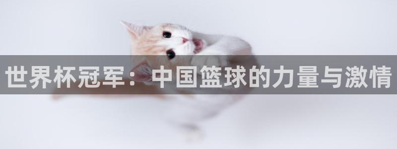 2026世界杯亚洲区预选赛：世界杯冠军：中国篮球的力量与激情