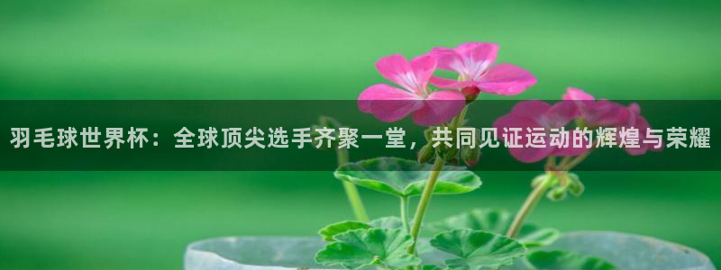 世界杯亚洲区预选赛：羽毛球世界杯：全球顶尖选手齐聚一堂，共同见证运动的辉煌与荣耀